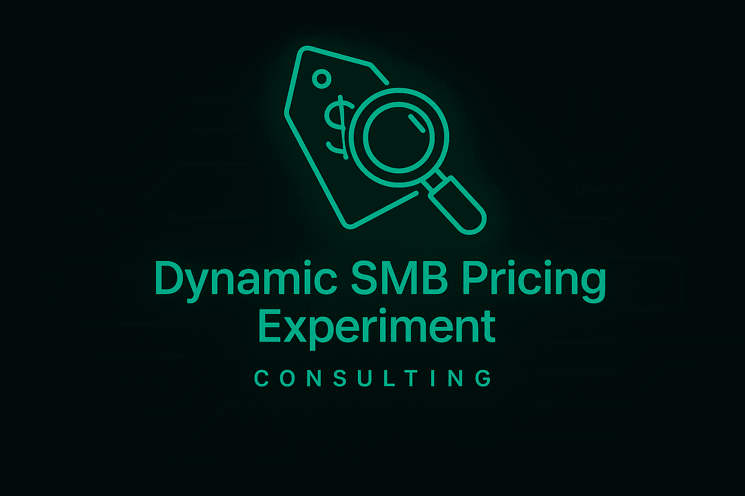 Dynamic SMB Pricing Experiment